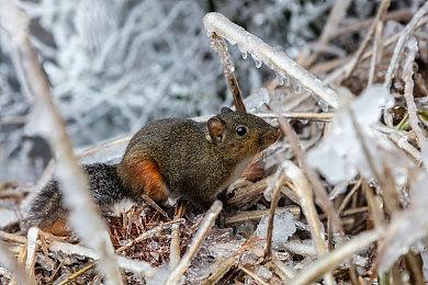 IGN 2023年“游戏之夏”活动将于6月回归