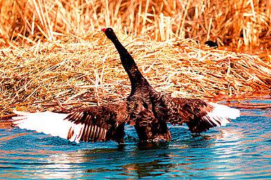 《漫威银河护卫队》开发者：游戏正在找到自己的受众